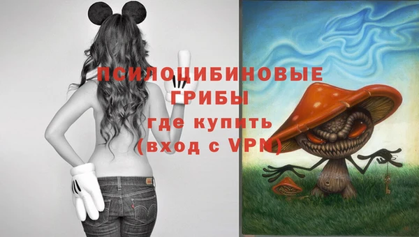 твердый Арсеньев