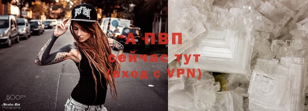 spice Беломорск